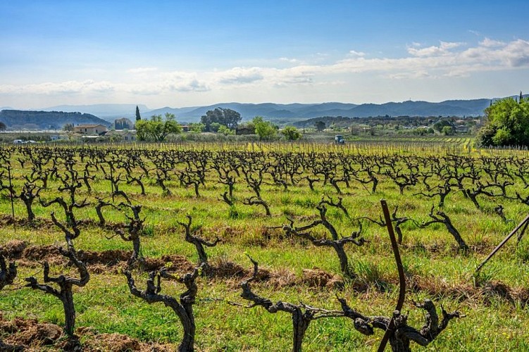 Plaine alluviale de Lauris