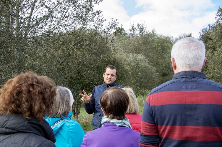 truffe-valle-isle-perigord-tourisme-2025-4