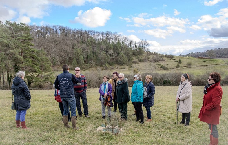 truffe-valle-isle-perigord-tourisme-2025-3