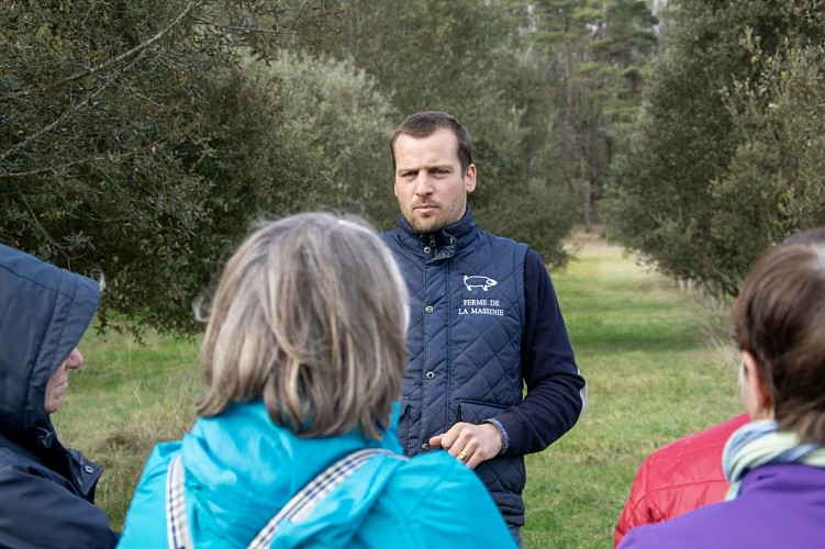 truffe-valle-isle-perigord-tourisme-2025-6