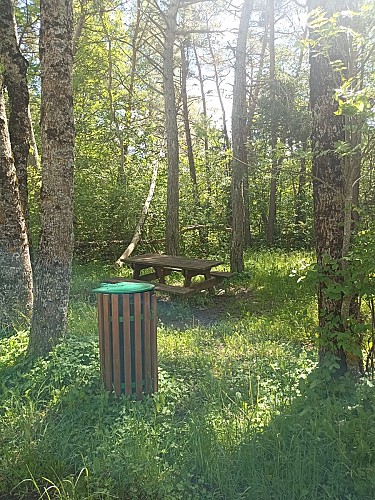 Aire de pique-nique à proximité de Selonnet