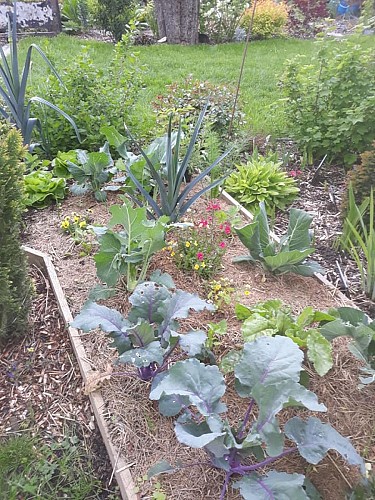 Der Garten von Pascal und Céline