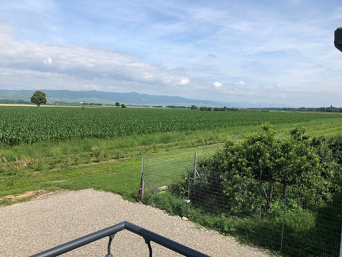 Meublé Bretzel - Manuel HABY