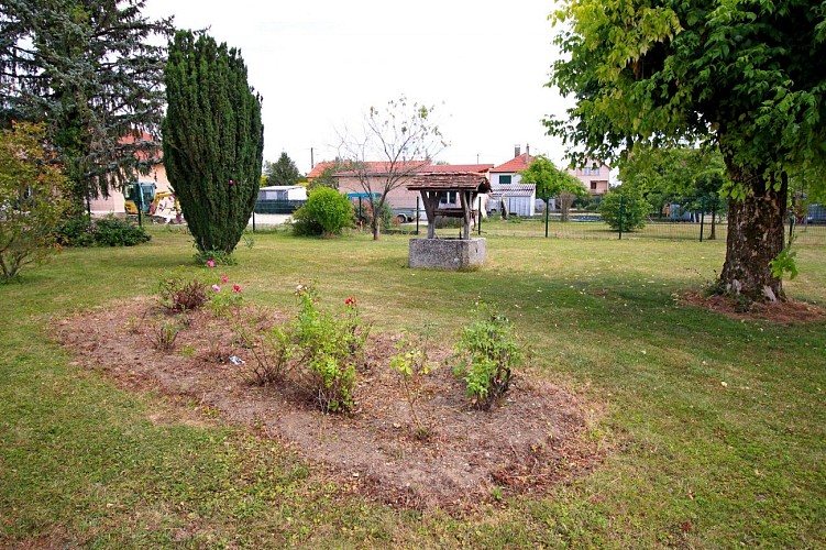 Le Petit Nuisement - Jardin