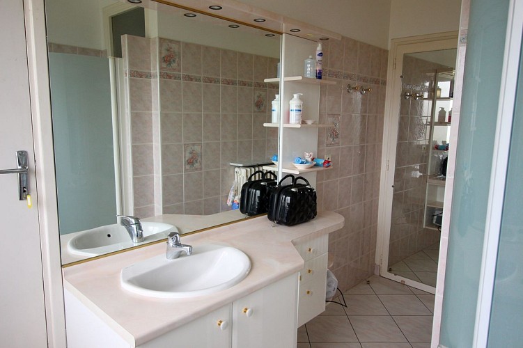 Le Petit Nuisement - Salle de bain