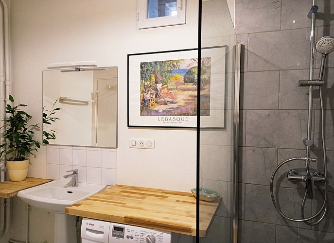 Le logis du Château - Lac du Der - SdB