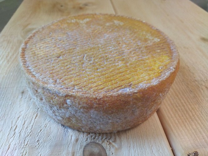 2024 - MAIL - Bergerie de Maillas - Fromage la tomme - ©Marion POUTAYS