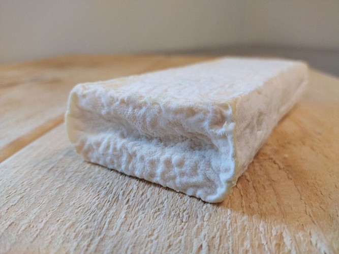 2024 - MAIL - Bergerie de Maillas - Fromage la brique - ©Marion POUTAYS