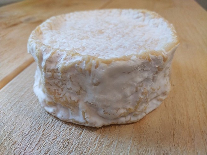 2024 - MAIL - Bergerie de Maillas - Fromage le façon camembert - ©Marion POUTAYS