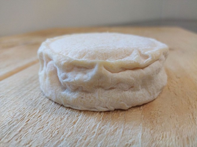 2024 - MAIL - Bergerie de Maillas - Fromage le coulant - ©Marion POUTAYS