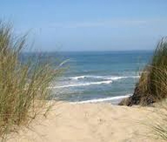 Camping Mussonville 1