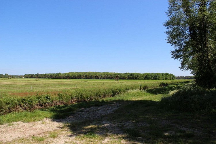 Plaine du Sable Blanc