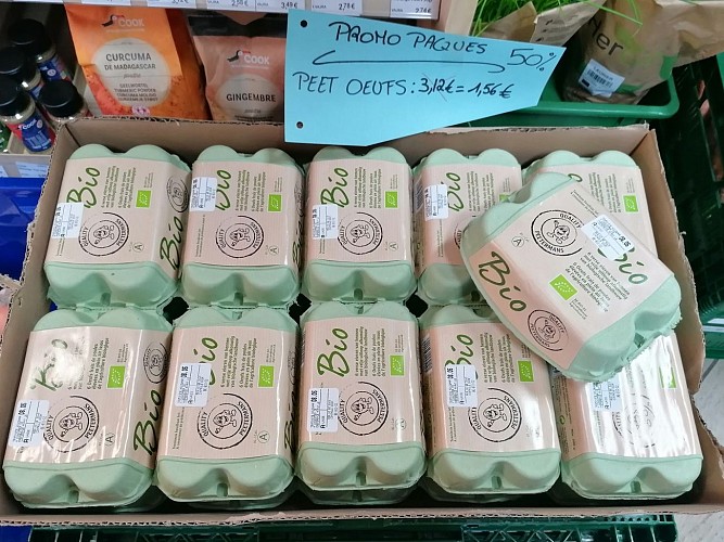 491904013_1146480897279858_4320515029458932972_n