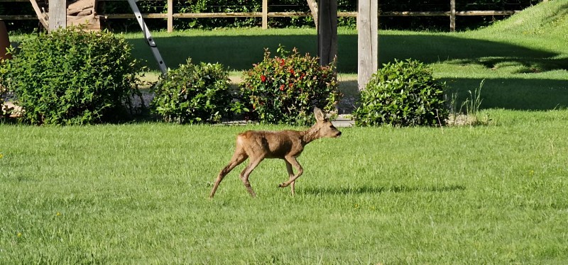 Gîte Dardenne Normandie (8)