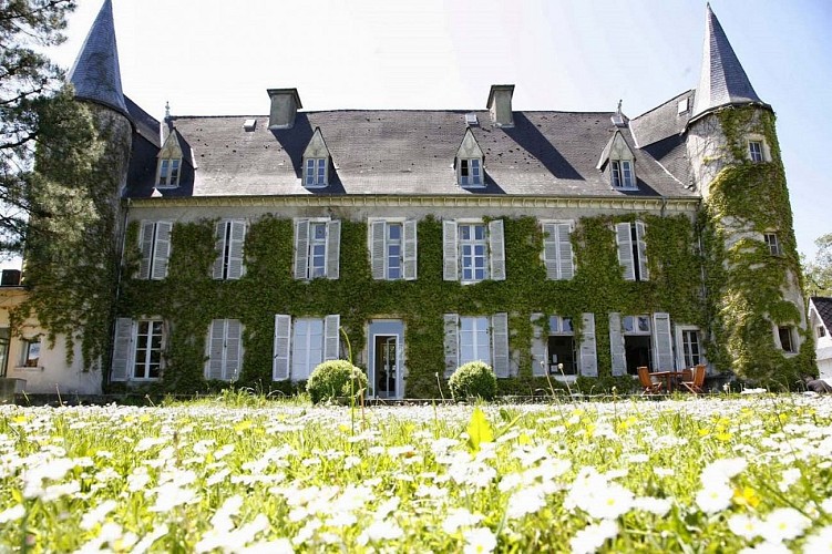 Chateau lafitte monein (4)