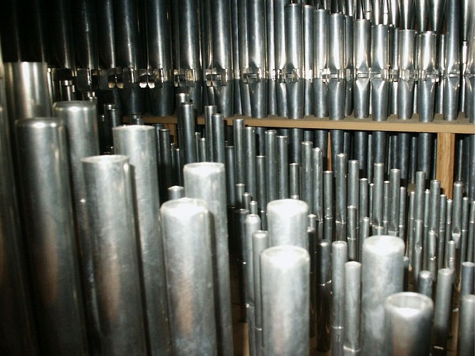 Grande forét intérieure