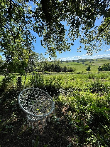 tonneau du grand chêne 7