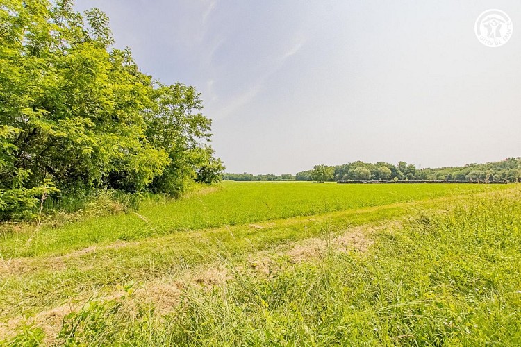 la Roue l’Hôte Verte