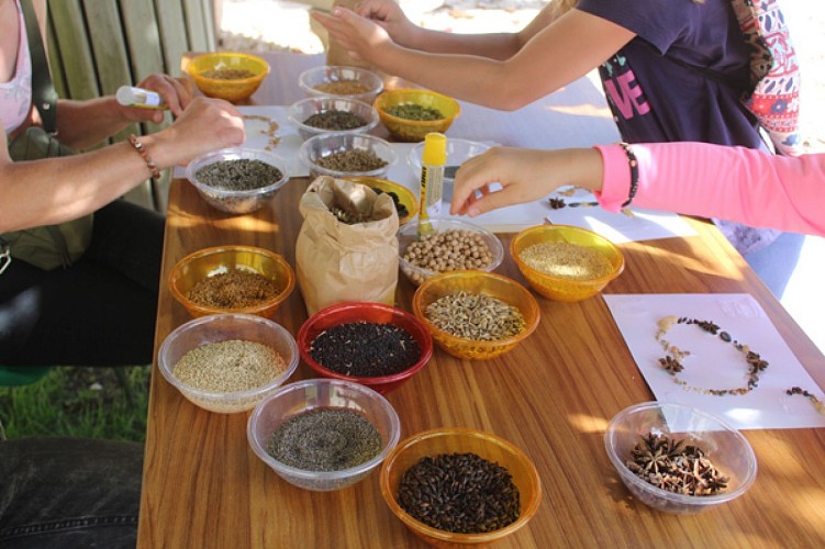 animation Grains graines 3 juillet 2022 (5)