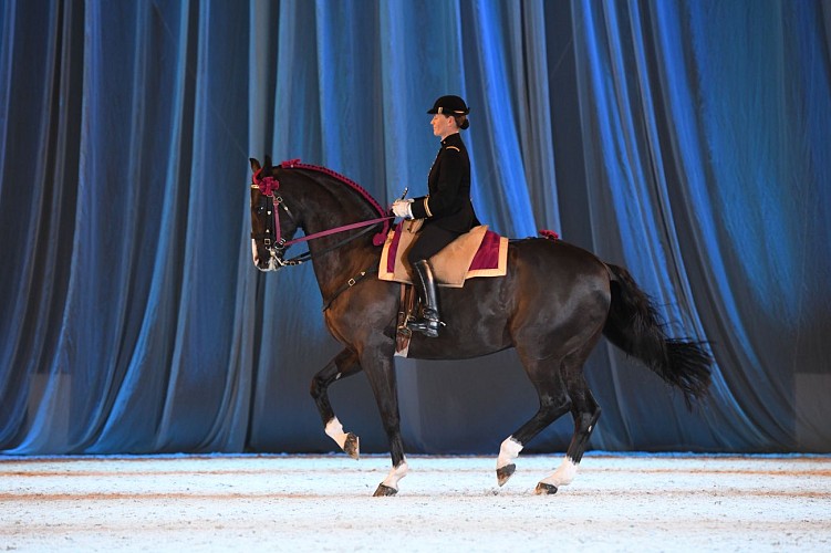 Le Cadre noir de Saumur