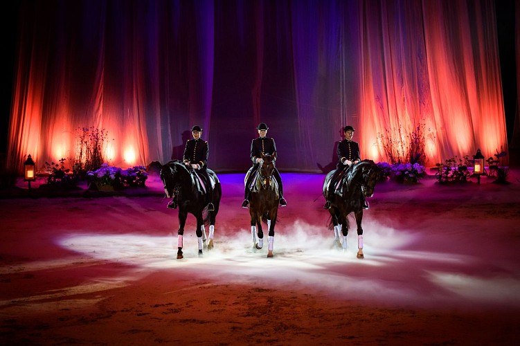 Le Cadre noir de Saumur