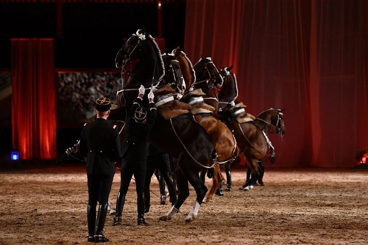 Le Cadre noir de Saumur