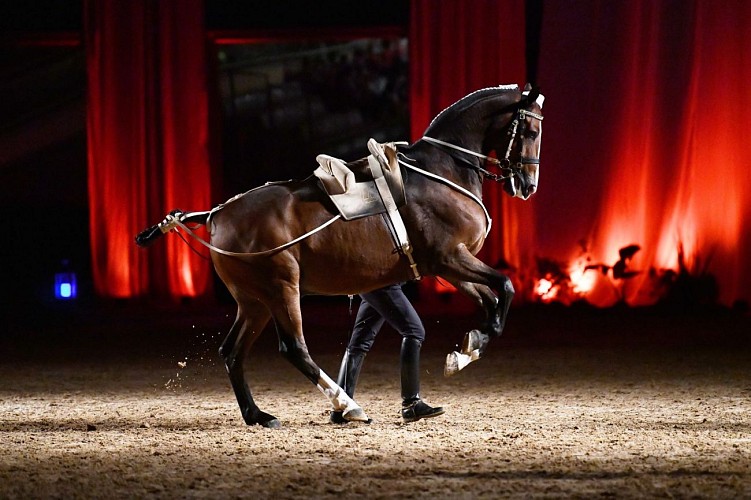 Le Cadre noir de Saumur