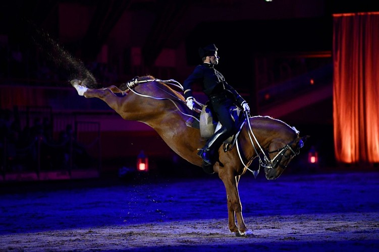 Le Cadre noir de Saumur