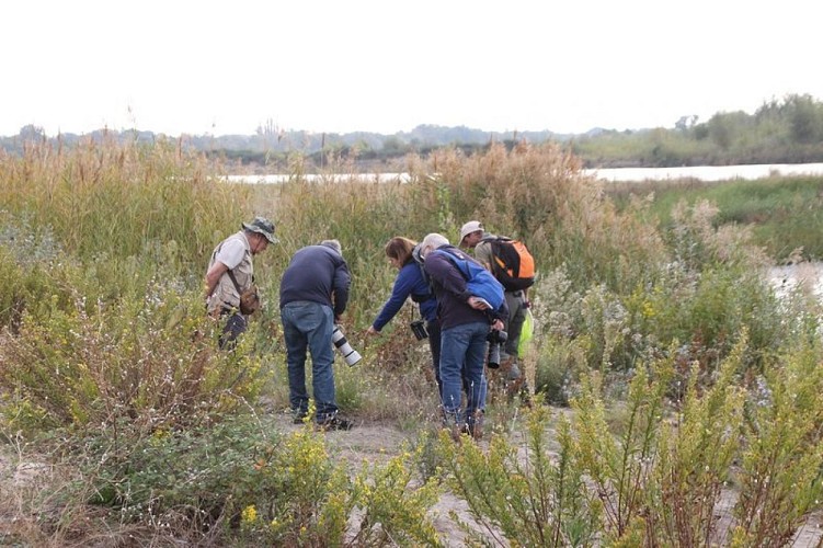Prospections lors des ABC