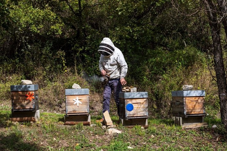Ruches de la Miellerie du moulin du Paroy©Martin Champon