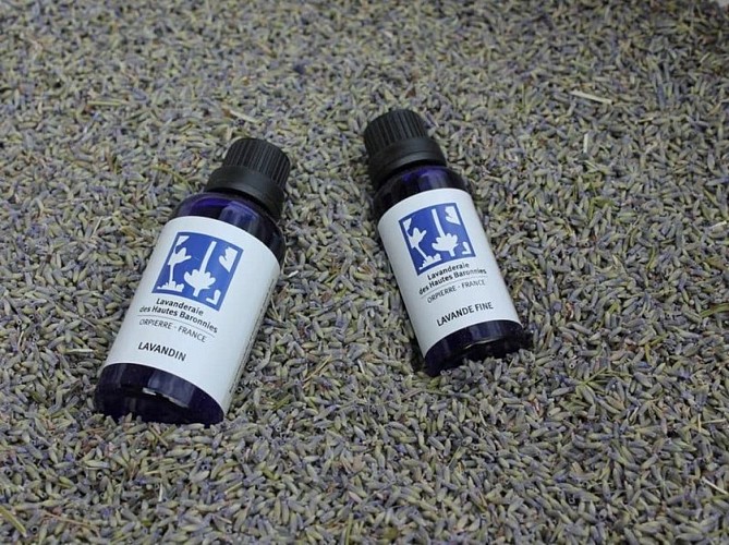 Lavandin et lavande fine©la lavanderaie
