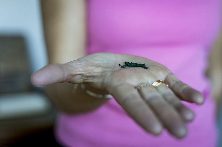 Bassin de Spiruline d'Orpierre©Martin Champon