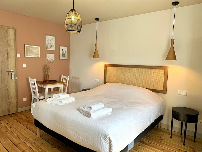 Chambre 31 - La Maison d'Irmine à Sarralbe