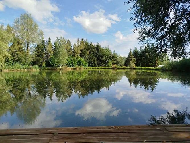 A la belle étoilé - Grundviller