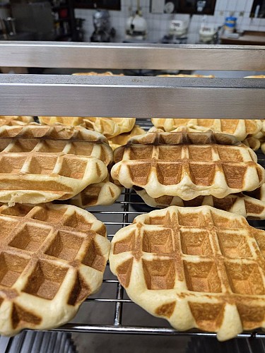 496455547_2742269029295748_9209953266016181239_n