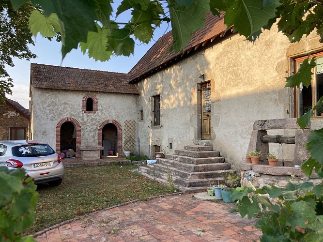 The Vine and the Thistle