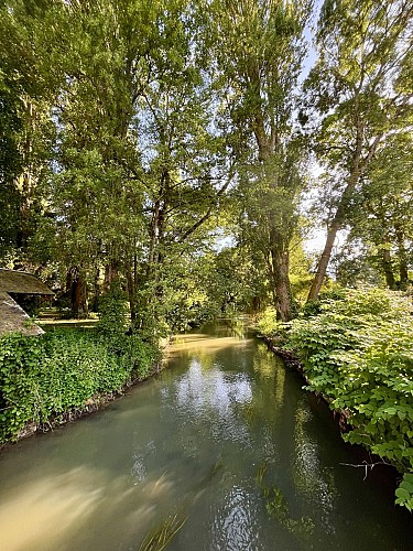 le bief du moulin