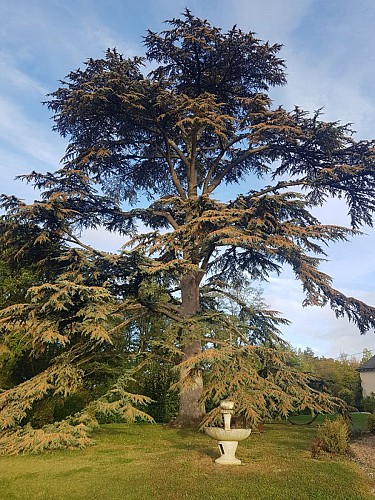 20231021_093303 modif