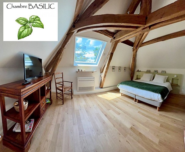 Chambre 1 Basilic 2