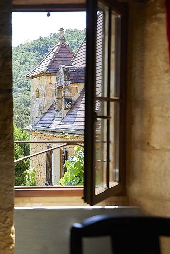 Domaine-de-Cantegrel-vitrac-sarlat-Gite-La-Maison-Bleue-vue-prt