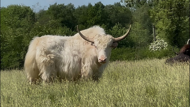 885a5625-ed94-476d-8008-fbcc8b3052ce