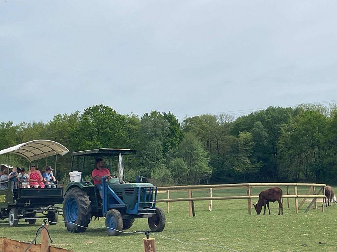 3a27fbf0-f657-4ac7-bbf1-ad7c15589e3d