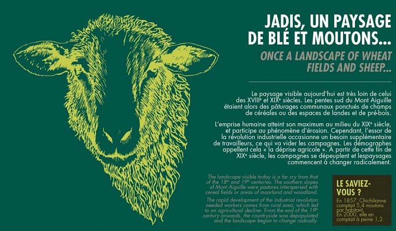 Jadis, un paysage de blé et moutons...