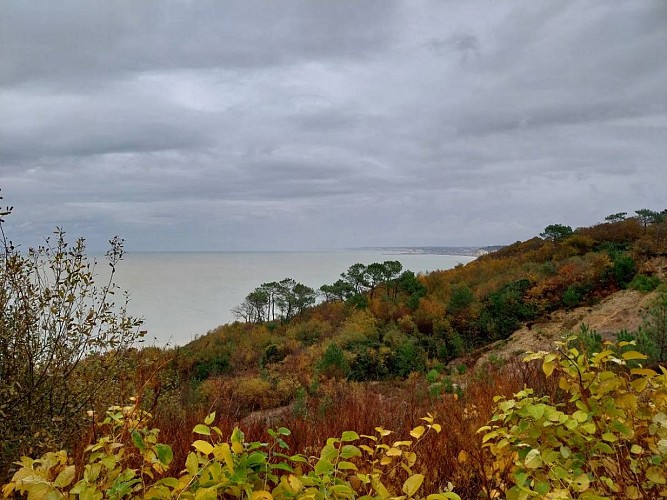 Normandie- Gite de mer- Varengeville sur Mer-Tout faire à pied ou vélo