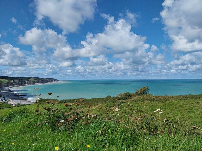 Normandie- location maison - Le Clos de Varengeville sur Mer