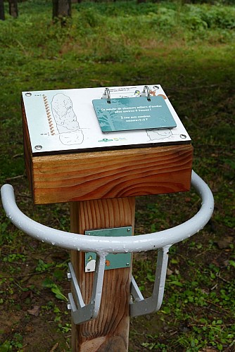 Menhir du Bois des Brosses