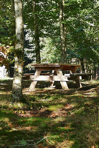 Menhir du Bois des Brosses