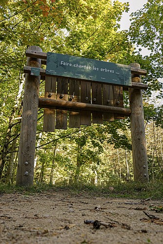 Arboretum du Bois des Brosses