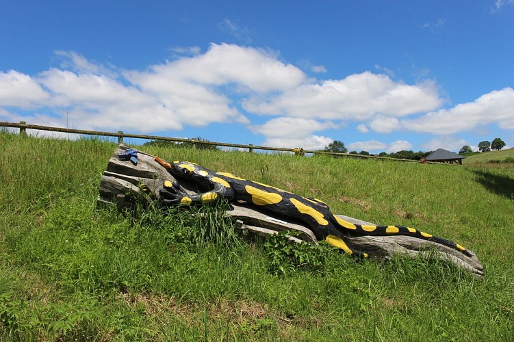 Land Art Etang des Planches