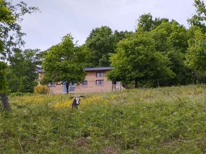 Le Fouteau-tiny house-Domfront